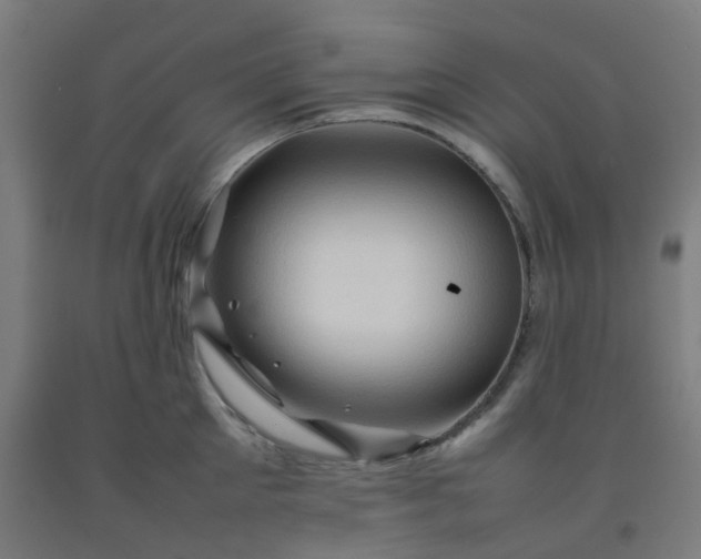 X0000092270905200709281221