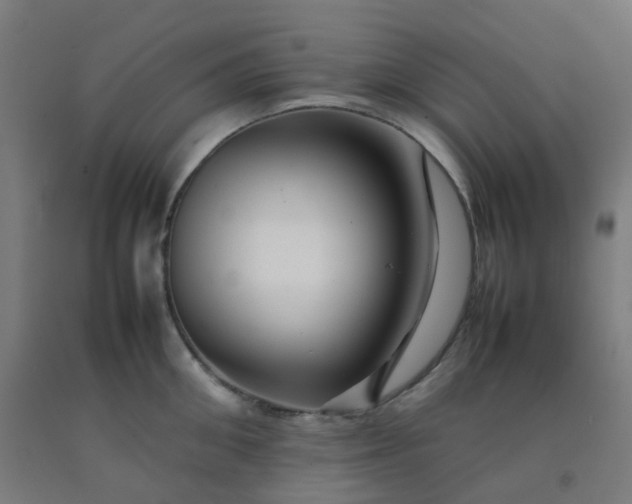 X0000092270906200709281221