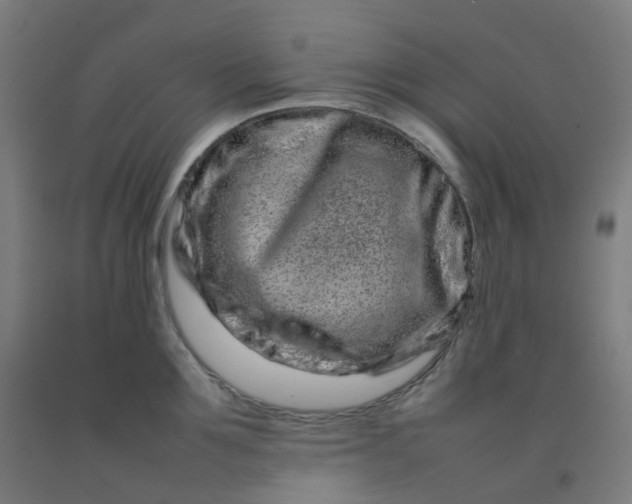X0000092270907200709281221