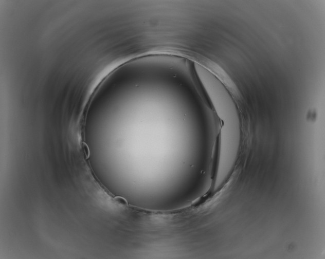 X0000092270908200709281221