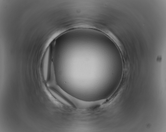 X0000092270909200709281221