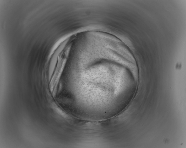 X0000092270912200709281221