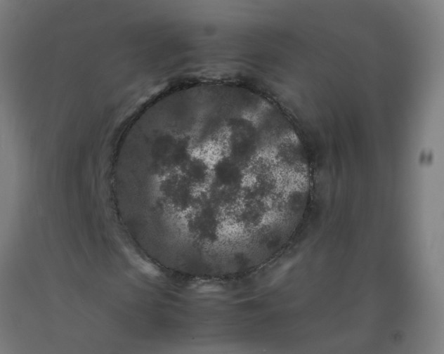 X0000092270913200709281220