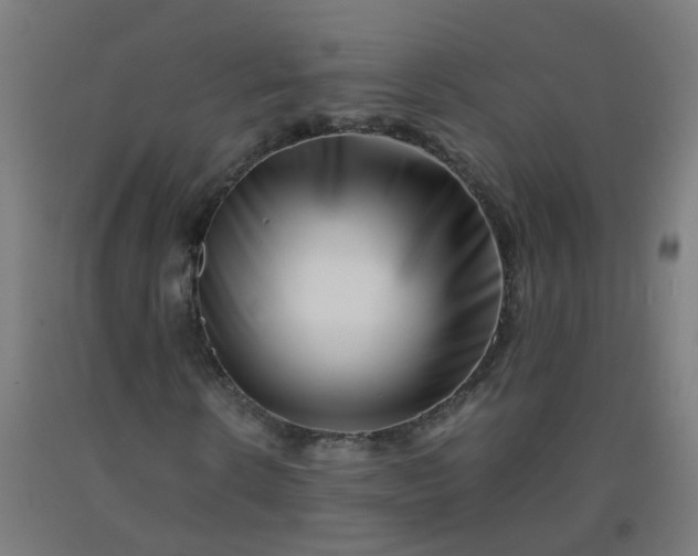 X0000092270914200709281220