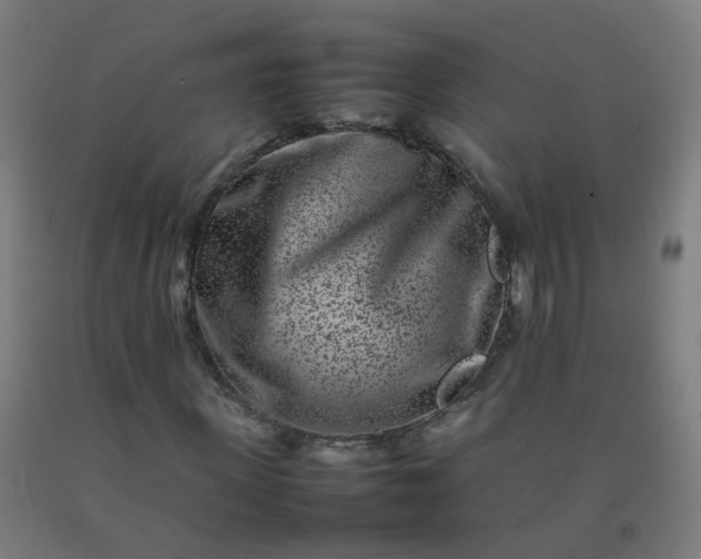 X0000092270915200709281220