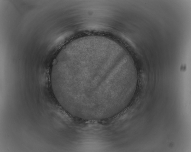 X0000092270918200709281221