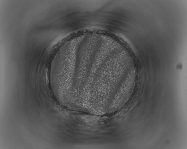 X0000092270919200709281221
