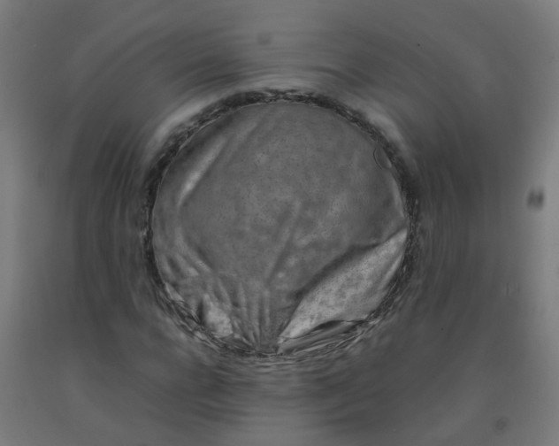 X0000092270920200709281221