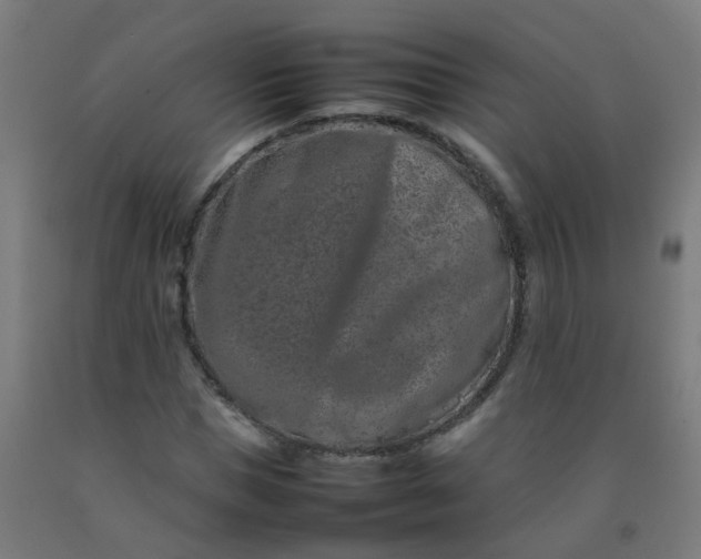 X0000092270921200709281221