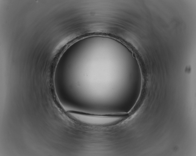 X0000092270922200709281221