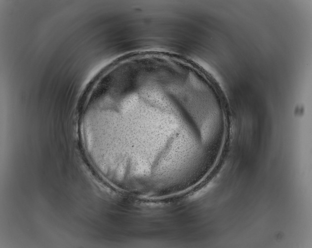 X0000092270925200709281221