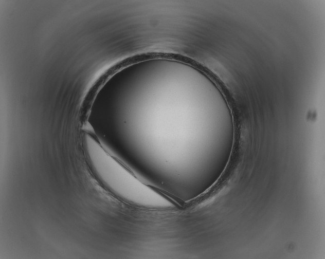 X0000092270926200709281221