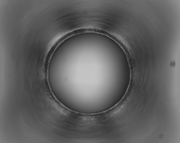 X0000092270927200709281221