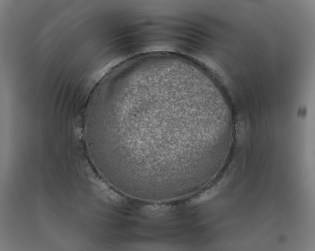 X0000092270929200709281221