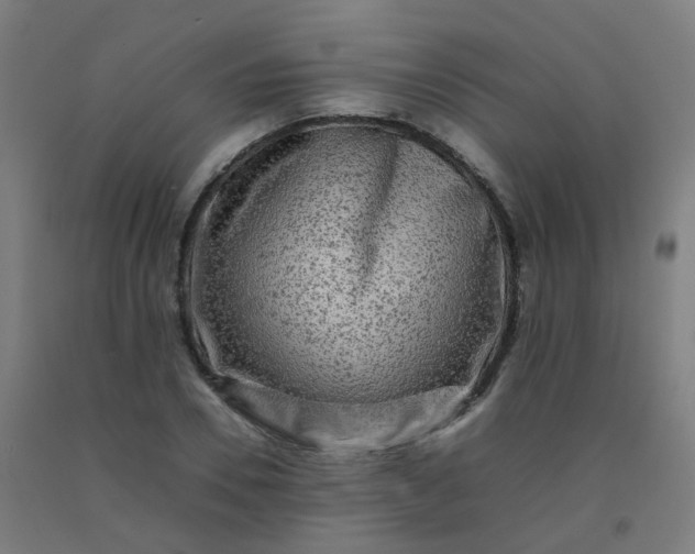 X0000092270930200709281221