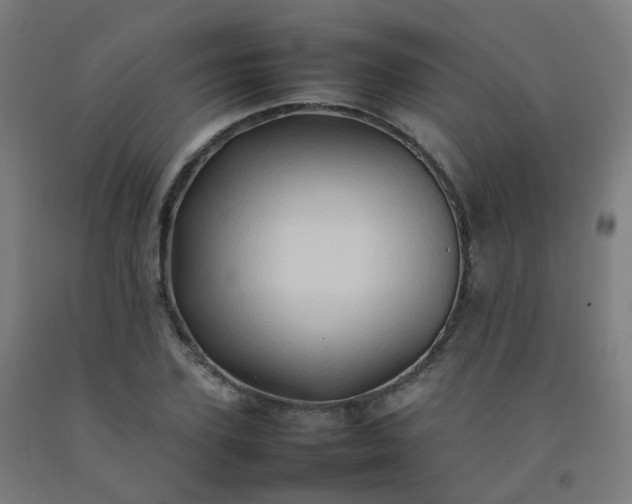 X0000092270931200709281221