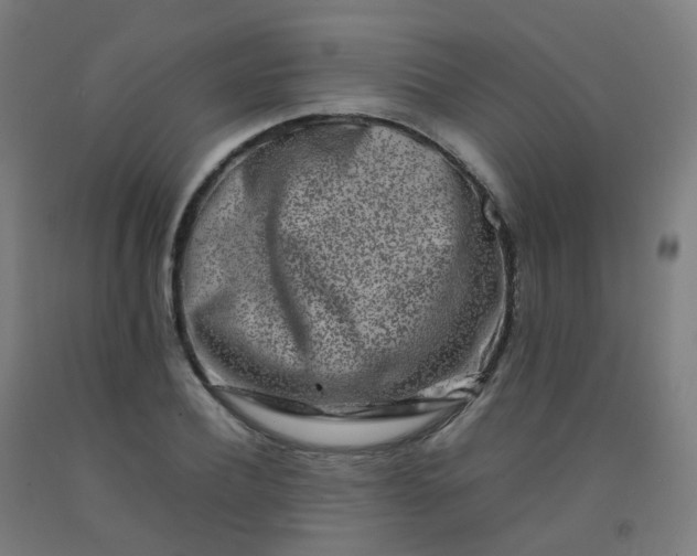 X0000092270932200709281221
