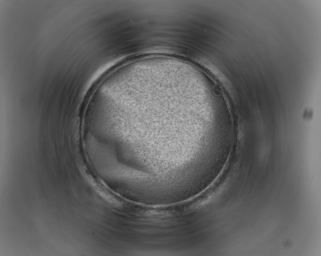 X0000092270933200709281221
