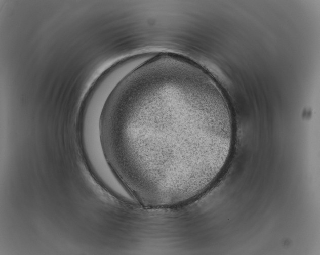 X0000092270934200709281221
