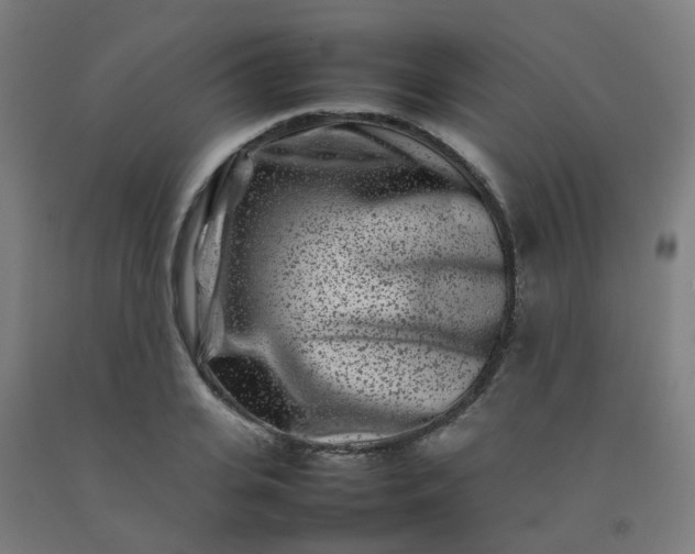 X0000092270935200709281221