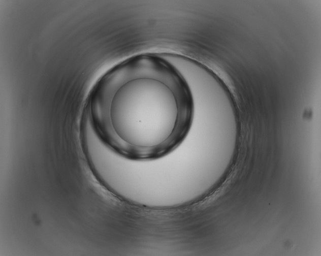 X0000092270936200709281221