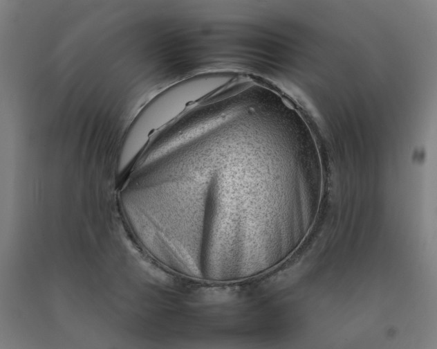 X0000092270937200709281221