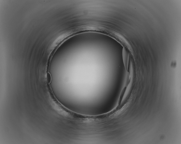 X0000092270938200709281221
