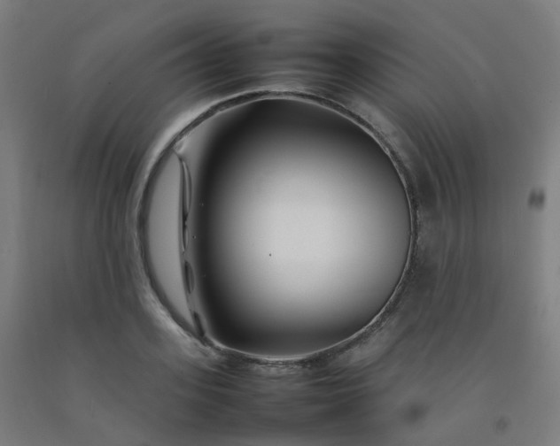 X0000092270939200709281221
