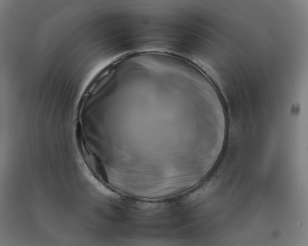X0000092270941200709281221