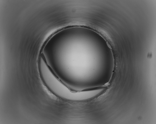 X0000092270942200709281221