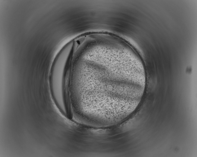X0000092270943200709281221