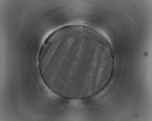 X0000092270944200709281221