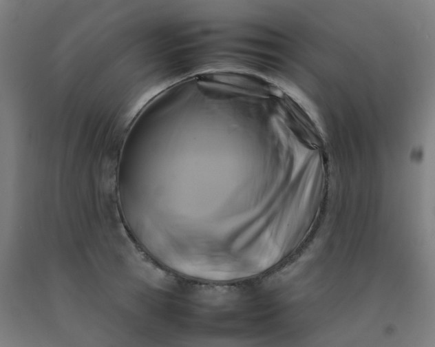 X0000092270945200709281221