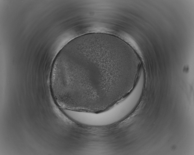 X0000092270946200709281221
