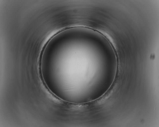 X0000092270949200709281221