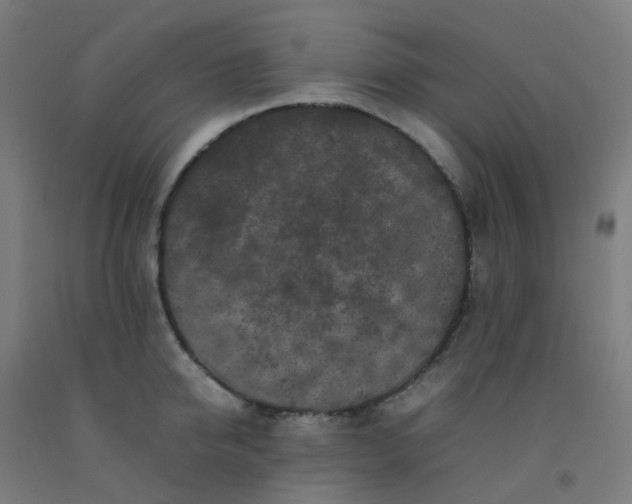 X0000092270950200709281221