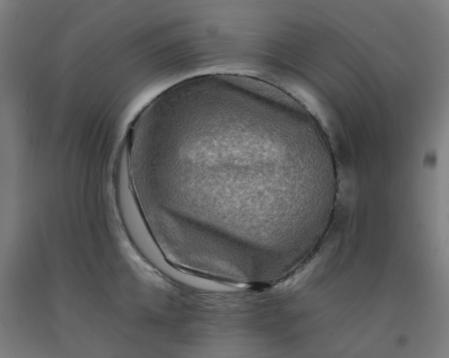 X0000092270952200709281221