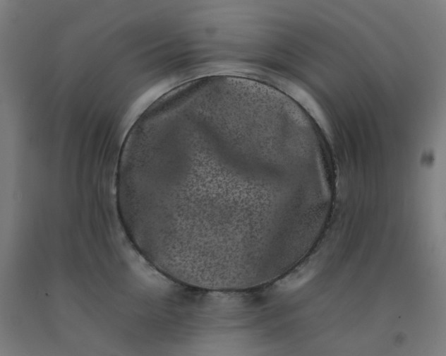 X0000092270954200709281221