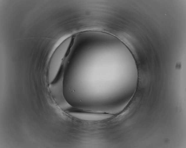 X0000092270956200709281221