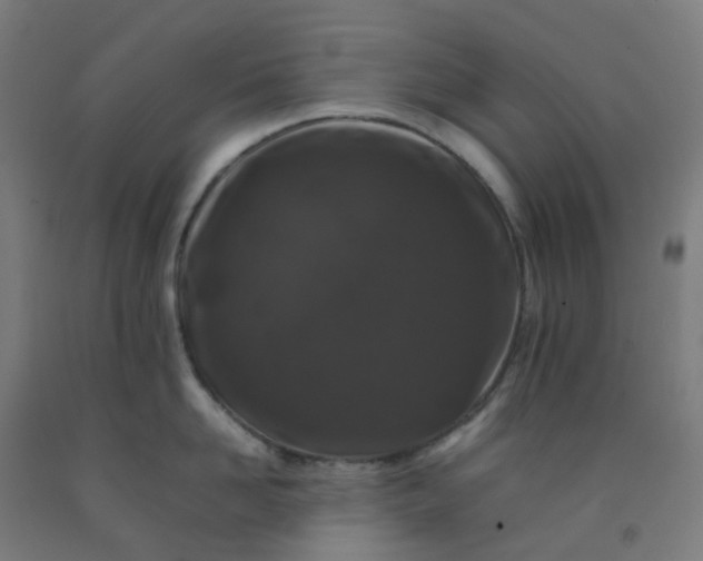 X0000092270958200709281221