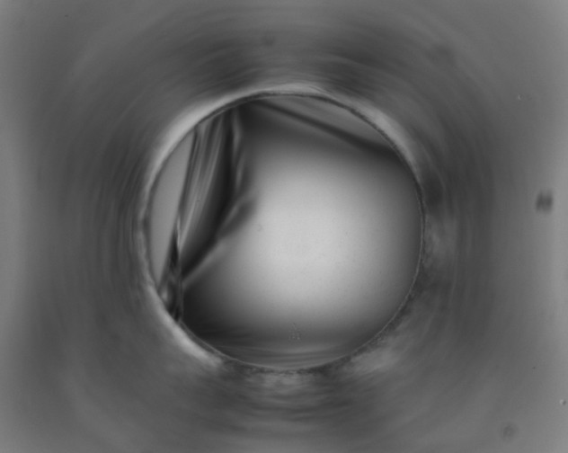 X0000092270959200709281221