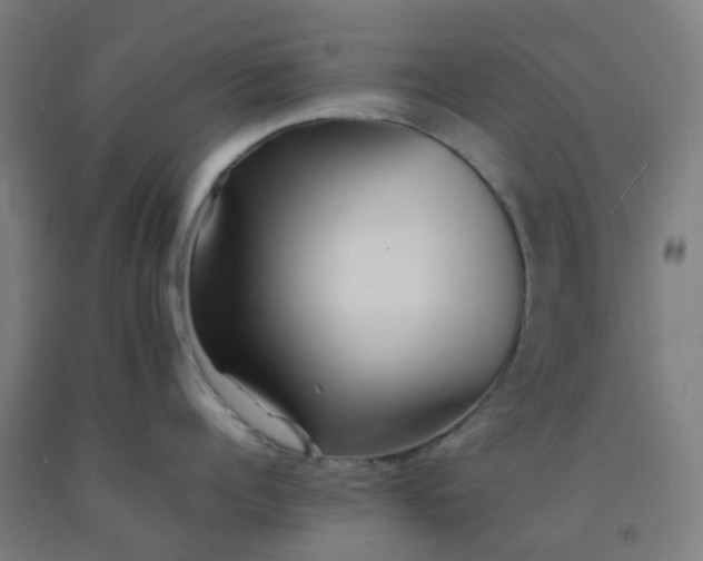 X0000092270960200709281221