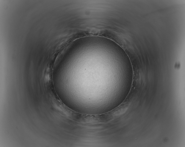 X0000092270962200709281220