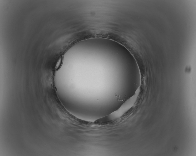 X0000092270963200709281220