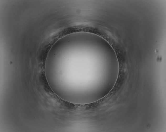 X0000092270965200709281220
