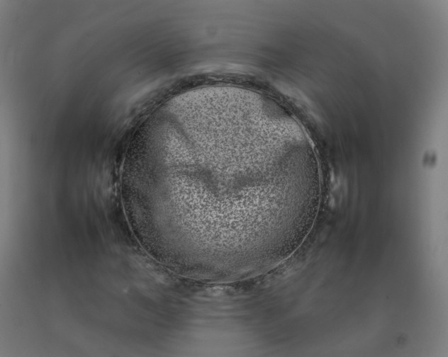 X0000092270966200709281220