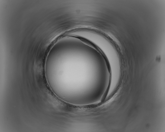 X0000092270969200709281220