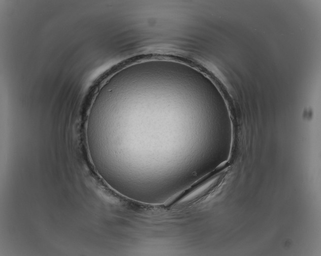 X0000092270971200709281220