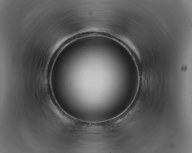X0000092270972200709281220