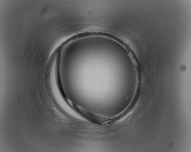 X0000092270973200709281220